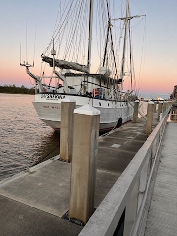 A027EEC1-6E44-4F3B-A727-A7B03E78F754_4_5005_c