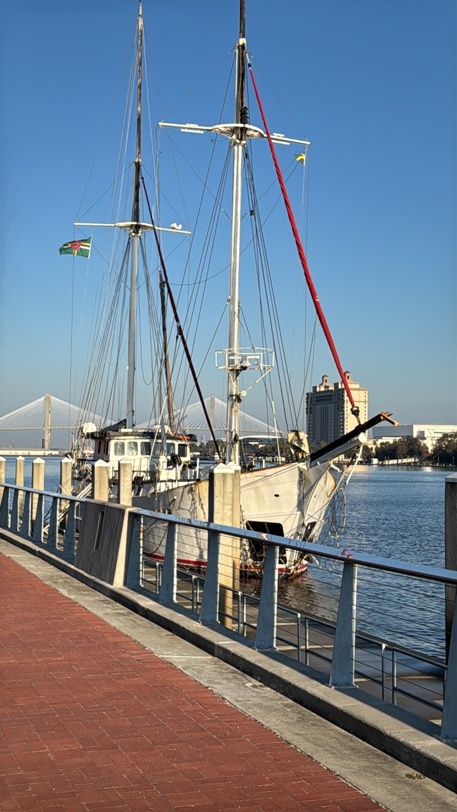 A7649A2D-9FC0-4696-A8BC-A59213A5A142_1_105_c